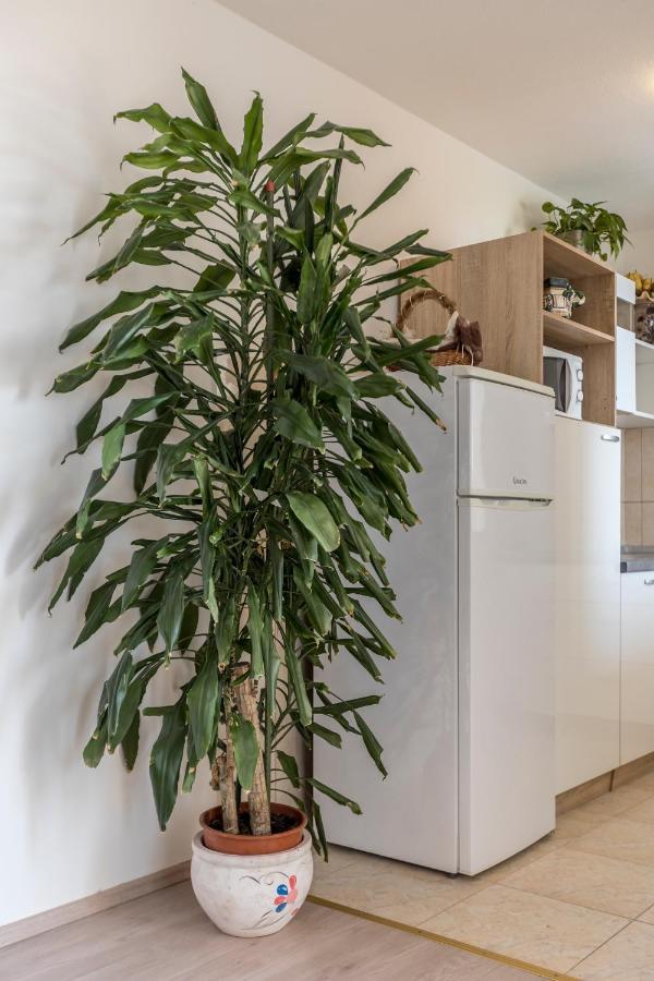 Sky Apartments بودْسْتغانا المظهر الخارجي الصورة